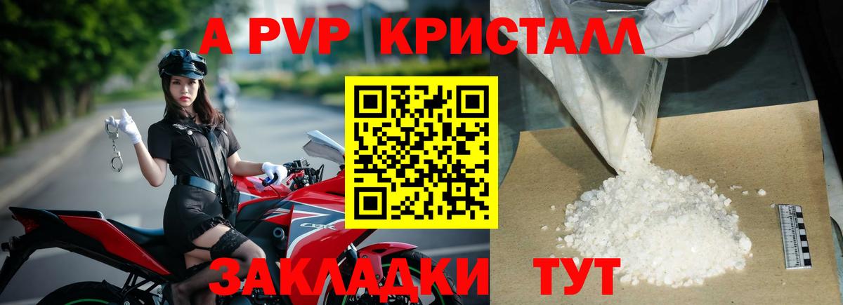 A PVP СК КРИС Чебоксары
