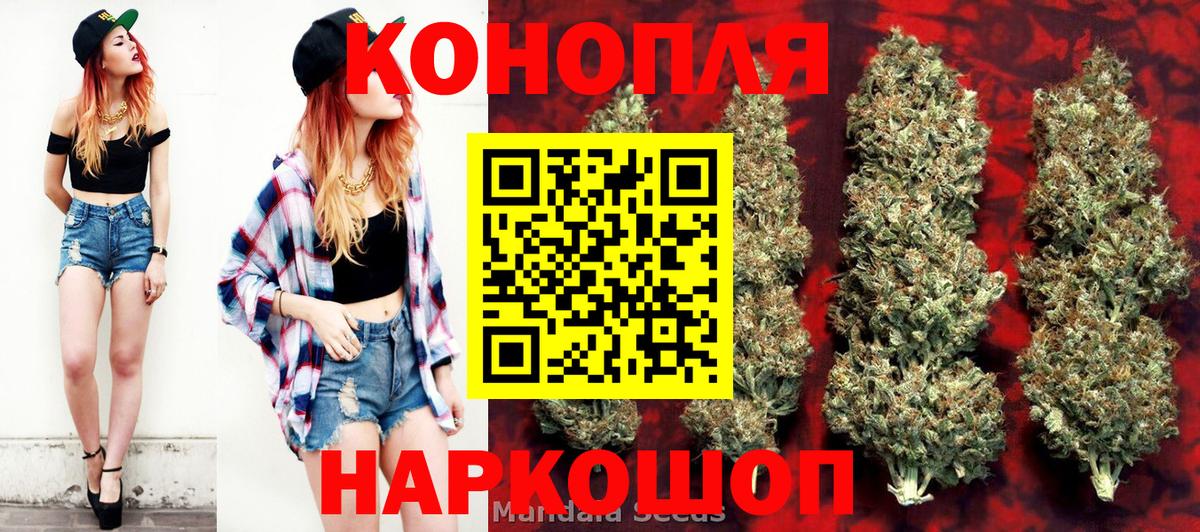 Бошки Шишки сатива Чебоксары